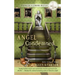 Angel Condemned