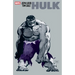 Jeph Loeb & Tim Sale: Hulk