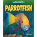 Parrotfish
