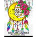 Whimsical dream catcher Coloring Book: Art Design for Relaxation and Mindfulness Art Design for Relaxation and Mindfulness