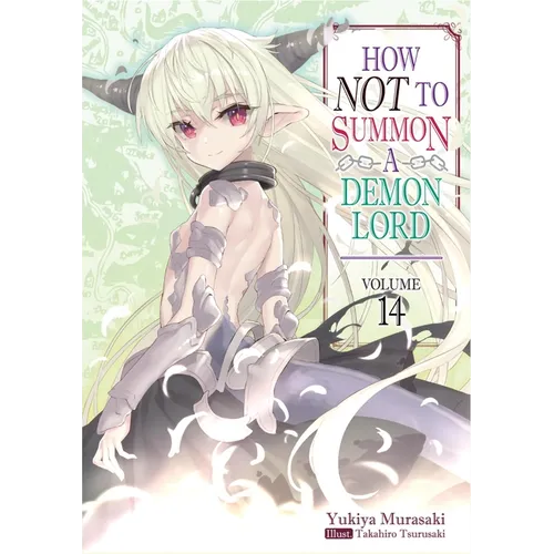How Not to Summon a Demon Lord: Volume 14 (Light Novel): Volume 14