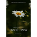 Count the Petals of the Moon Daisy: A Lyrical Novel of Love, Grief, and the Quiet Power of Memory