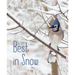 Best in Snow