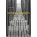 Memory Passages: Holocaust Memorials in the United States and Germany