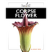 Corpse Flower
