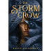 The Storm Crow