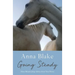 Going Steady: More Relationship Advice from Your Horse