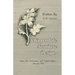 Chippendale Furniture Designs - From the Gentleman and Cabinet-Makers' Director 1762