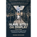 Slave Sites on Display: Reflecting Slavery's Legacy Through Contemporary flash Moments
