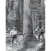 Crosscut Saw Manual