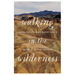 Walking in the Wilderness: Seeking God During Lent