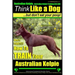 Australian Kelpie, Australian Kelpie Training AAA AKC Think Like a Dog, But Do: Kelpie Breed Expert Training Here's EXACTLY How to TRAIN Your Kelpie