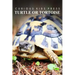 Turtle Or Tortoise - Curious Kids Press: Kids book about animals and wildlife, Children's books 4-6
