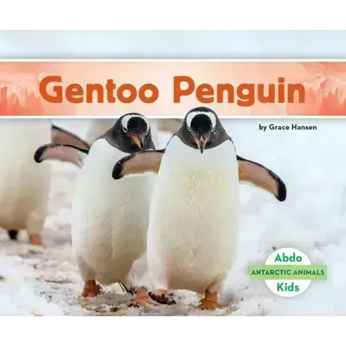 Gentoo Penguin