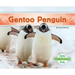 Gentoo Penguin