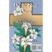 Funeral Service for Jesus & He is Not Here: A Service for Good Friday/An Easter Sunrise Service