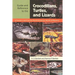 Guide and Reference to the Crocodilians, Turtles, and Lizards of Eastern and Central North America (North of Mexico)