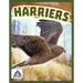Harriers