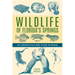 Wildlife of Florida's Springs: An Illustrated Field Guide to Over 150 Species
