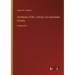 The Master of Mrs. Chilvers; An Improbable Comedy: in large print