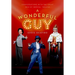 A Wonderful Guy: Conversations with the Great Men of Musical Theater