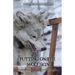 Putting on the Wolf Skin: The Berserkergang and Other Forms of Somafera