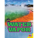 Water Vapor