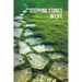 Stepping Stones in Life