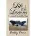 Life Lessons I Learned from My Dog