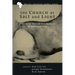 The Church as Salt and Light: Path to an African Ecclesiology of Abundant Life