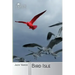 Bird Isle