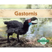 Gastornis (Spanish Version)