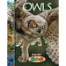 Owls