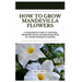 How to Grow Mandevilla Flowers: A Comprehensive Guide To Cultivating Mandevilla Flowers And Maintaining Them For Visually Striking Presentations.
