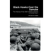 Black Hawks Over the Danube: The History of the 86th Infantry Division in World War II
