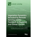 Vegetation Dynamics Revealed by Remote Sensing and Its Feedback to Regional and Global Climate