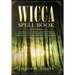 Wicca Spell Book: Discover Spells for Healing, Wellbeing, Abundance, Wealth, Prosperity, Love and Relationships. A New and Improved Vers