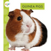 Guinea Pigs