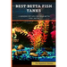 Best Betta Fish Tanks: 5 Amazing Set-Ups for Your Betta Fish Betta ...