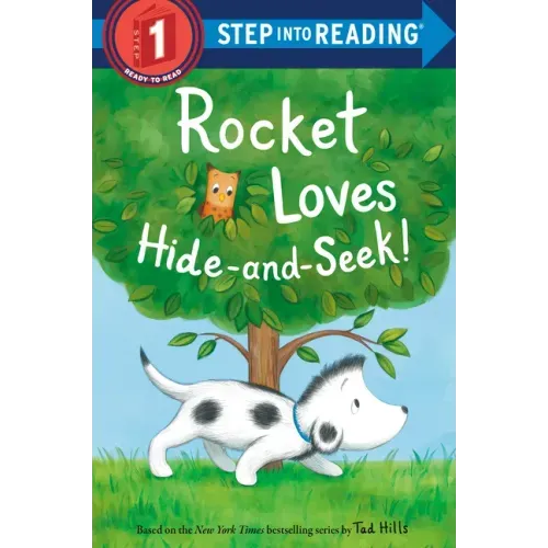 Rocket Loves Hide-And-Seek!