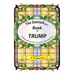 The Stained (glass) Book of Trump: A Politically Incorrect Grownup Coloring Book