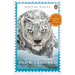 Snow Leopard Adventure