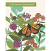 The Pollinators Coloring Book: 21 North American Birds, Bees, Butterflies, Moths, and Beetles to Color
