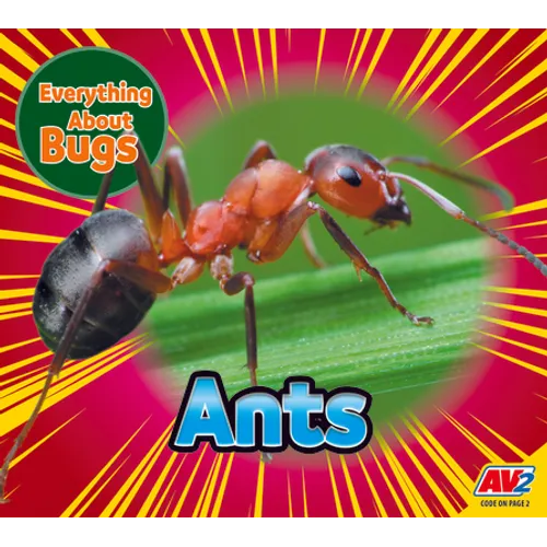 Ants