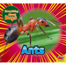 Ants