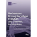 Mechanisms Driving Karyotype Evolution and Genomic Architecture