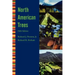 North American Trees
