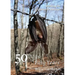 50 Days for Fifty Years: Walking the Camino de Santiago