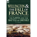Wellington and the Fall of France Volume III: the Gaves and the Battle of Orthes