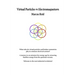 Virtual Particles in Electromagnetism